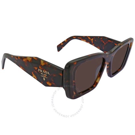 prada 08ys 01v8c1|Prada Dark Brown Cat Eye Ladies Sunglasses PR 08YS 01V8C1 .